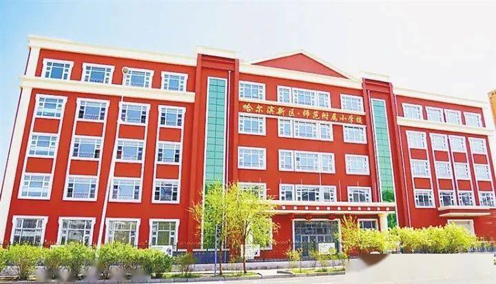三尺讲台献青春一颗丹心铸师魂哈尔滨新区师范附属小学校三学年团队