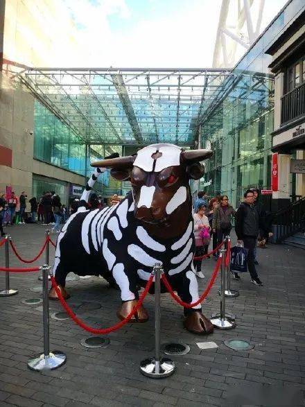 绿帽牛牛@直刘海的_月亮:有收集过衣服合集哈哈哈哈穿衣服的牛