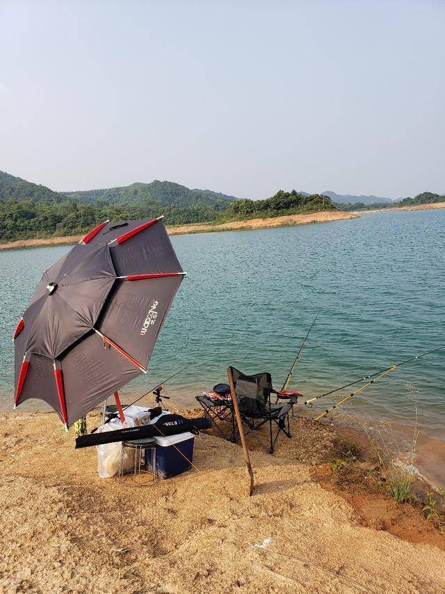 独自一人垂钓凤亭河水库,钓得大鱼