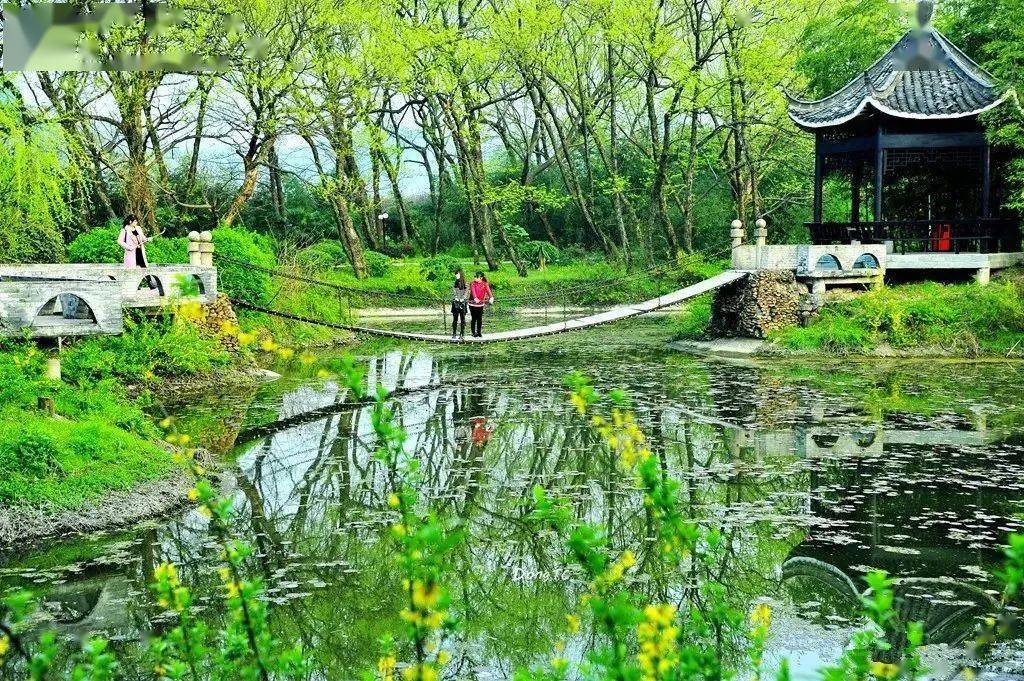 这个秋天我在汤池相思林爱情公园等着您