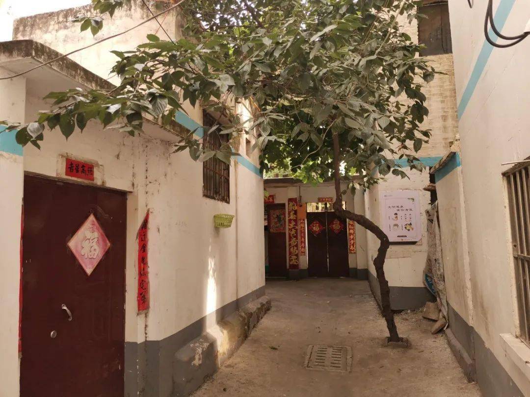 如今,漯河这些背街小巷美翻了!