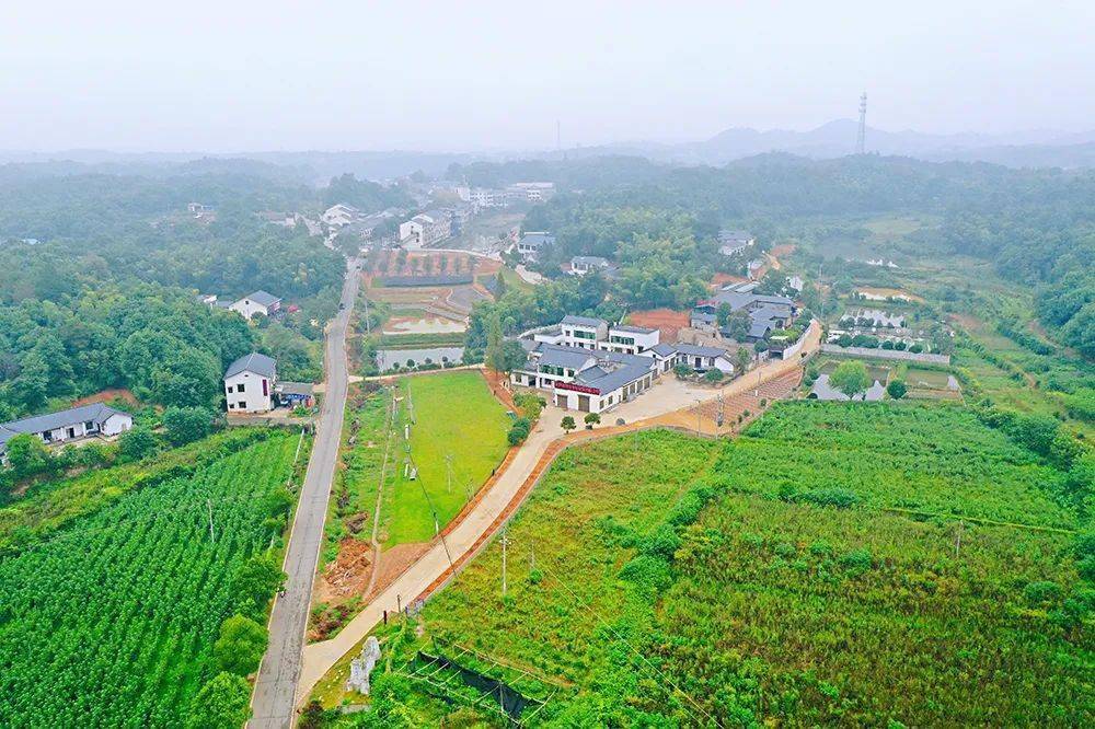 初具雏形这个美丽屋场村民在家门口就能逛公园