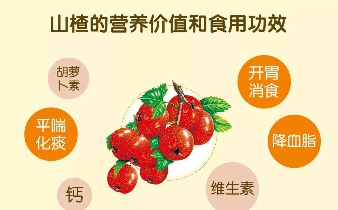 刺梨山楂泡水喝的功效与作用及禁忌每100克刺梨鲜品含水分81克,蛋白