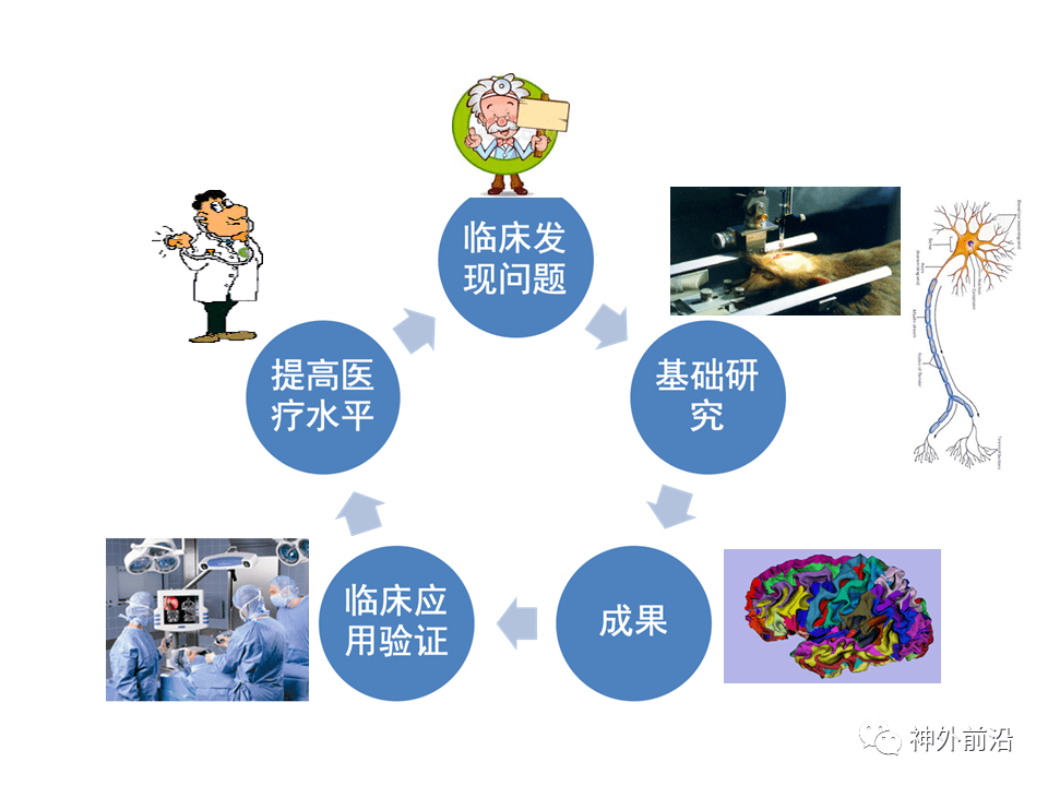 委員會委員中華神經外科雜誌英文版編輯部主任智慧神外 | 中科院周