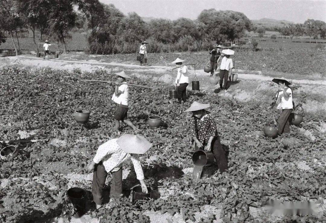许大昕:那段渐行渐远的岁月——评李百军《生产队》