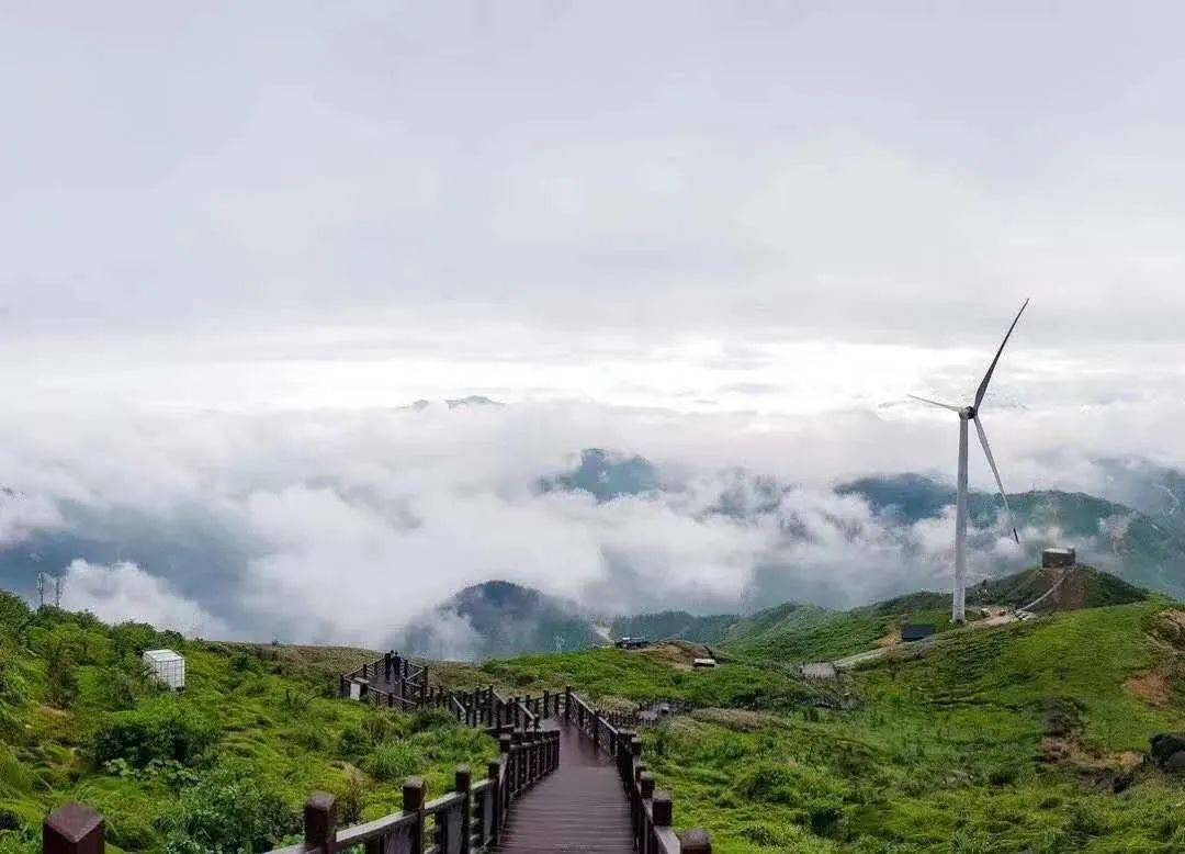 【9月19日英德出发,198元/人】仙境之旅:永州云冰山纯玩一天游_景区