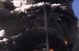 265_171gif 动态图 动图