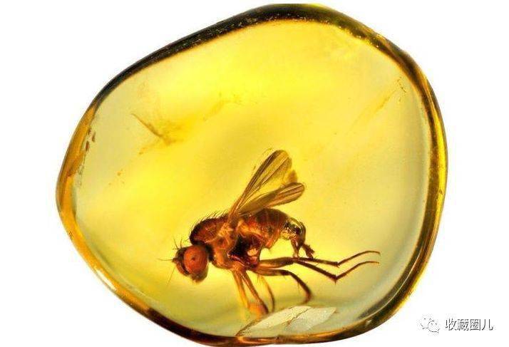 世界上最珍贵的八大有机宝石据说有一种宝石已经绝迹