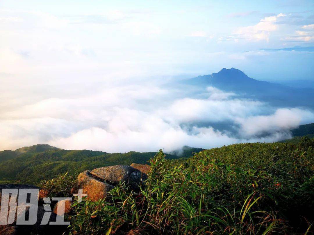 勾髻顶日出云山告诉你,滨海阳江凭啥创建全国森林城市?