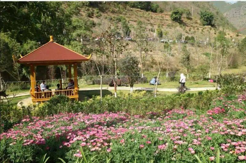 乡村旅游融媒体采访云县昔宜村爱此江边好留连至日斜