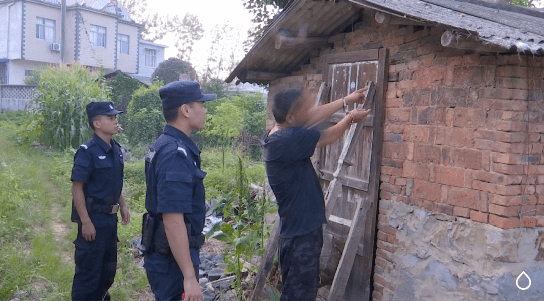 用麻雀当诱饵一外地捉猫团伙被怀宁公安抓获