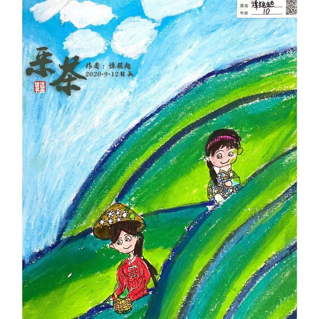 智远创美采茶遥望茶山云雾绕