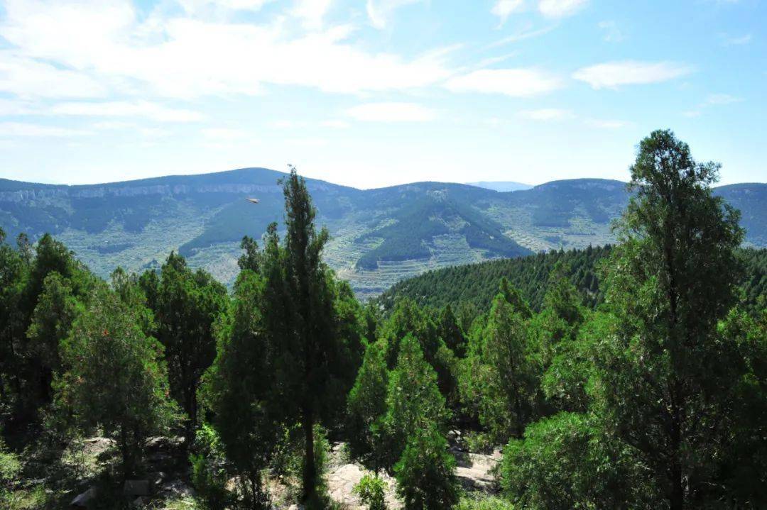 远山,松柏,蓝天,都是自然的样子今年,齐长城大峰山风景区还获评了2019