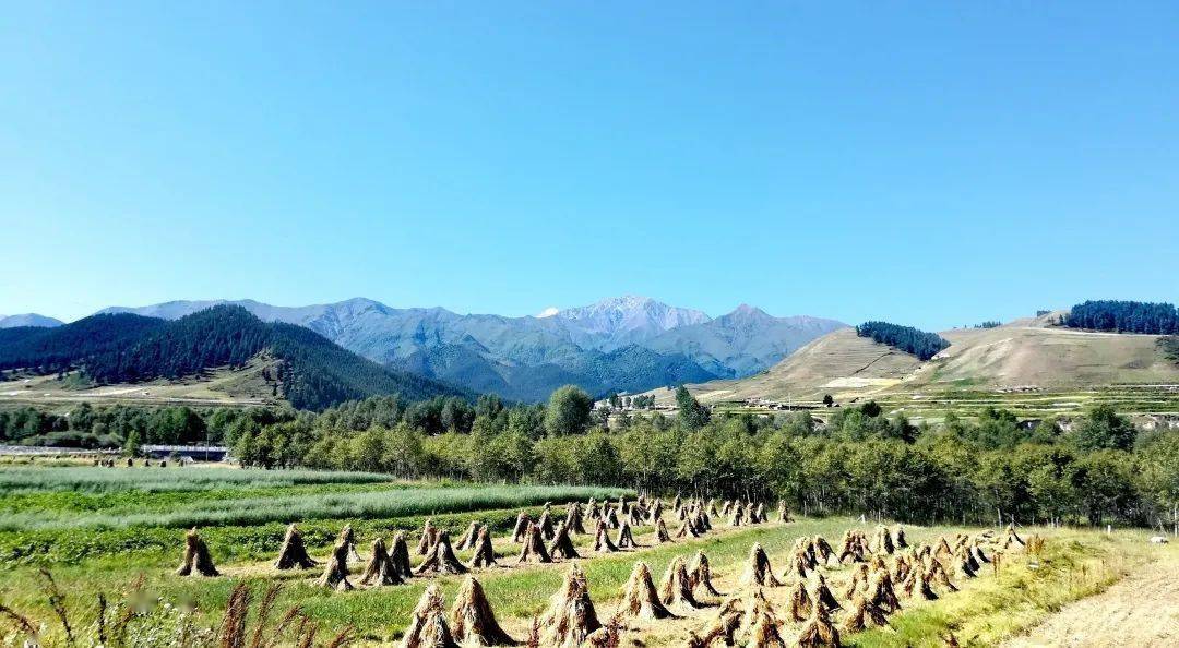 印象天祝 ‖ 哈溪秋景