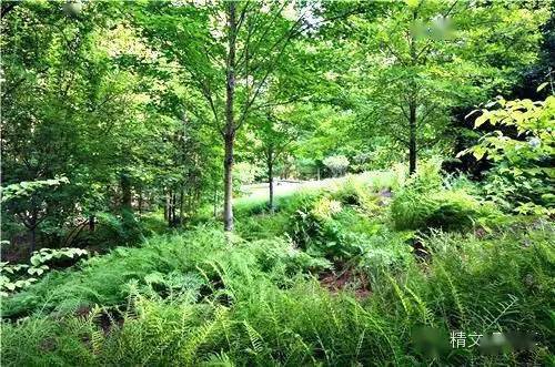 异世界与秘密花园入口——森林课堂