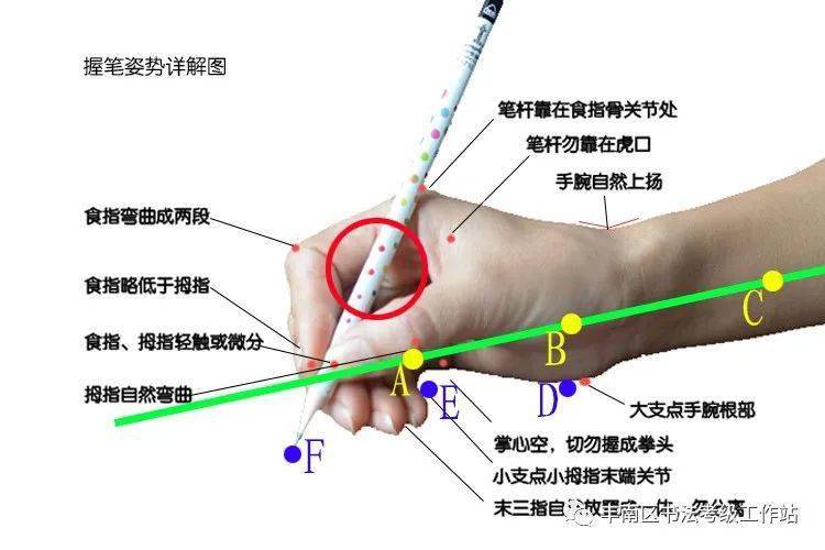 硬笔握笔姿势解析一