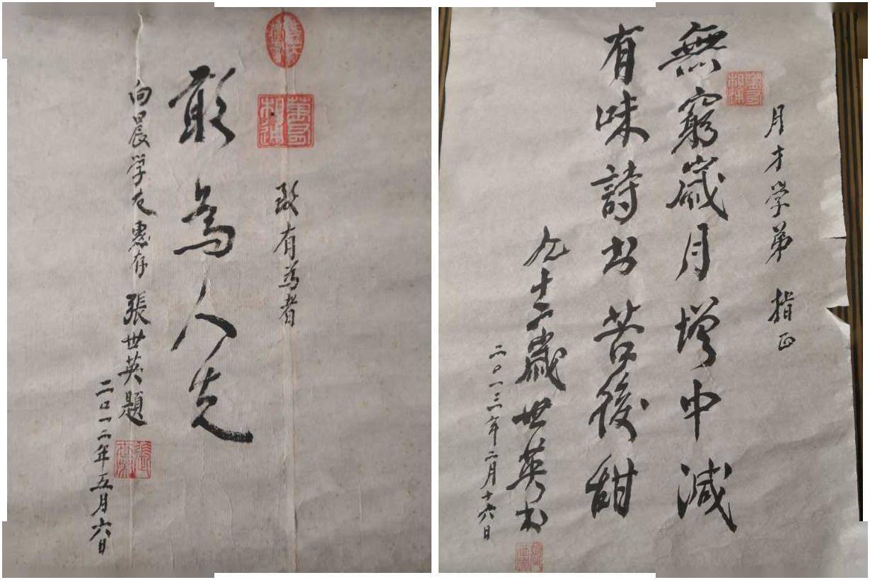 孙向晨怀念张世英先生一个有诗意的自由人
