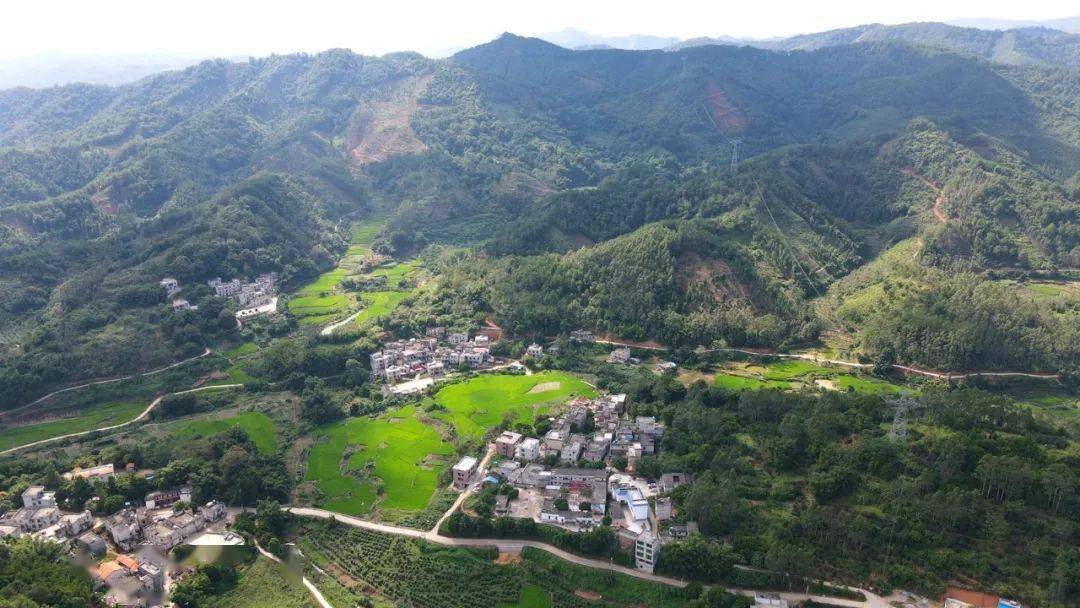 太平网在现场:14.5万元捐给古龙镇德安小学,组织者是位90后靓女