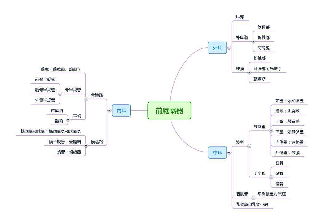 解剖九大系统思维导图图片