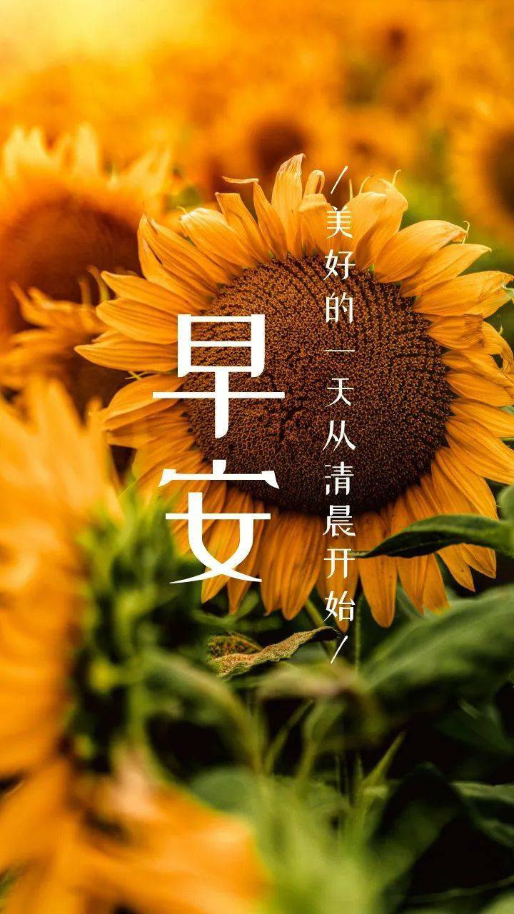 20200915早安晚安正能量一句话请查收