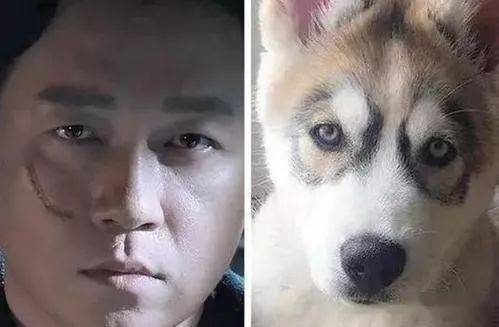 怪不得林更新叫林狗王源,好可爱啊陈奕迅,凌乱美的发型黄渤和秋田犬