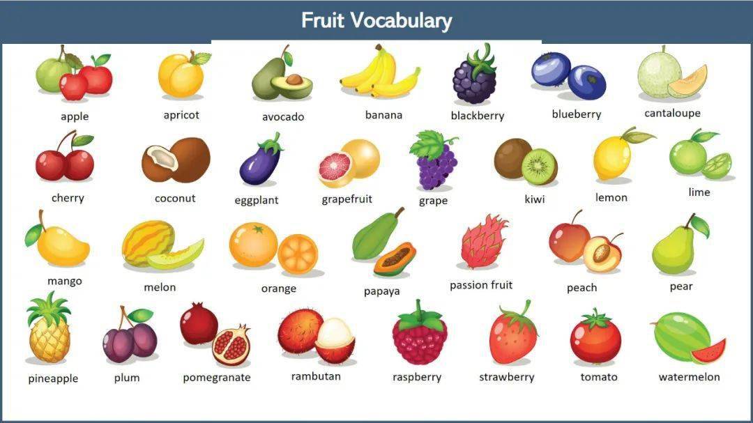 fruit vocabulary 1 各种水果的名称可参考下图(共28种).