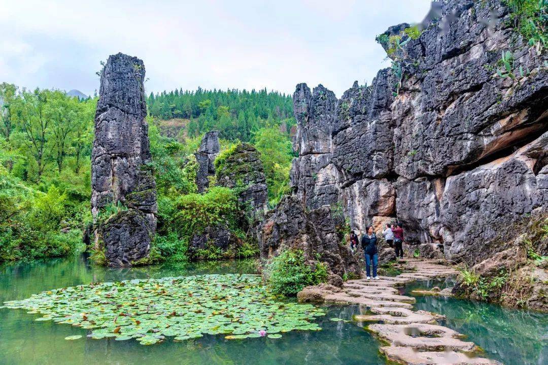 贵州石林风景区在哪里图片