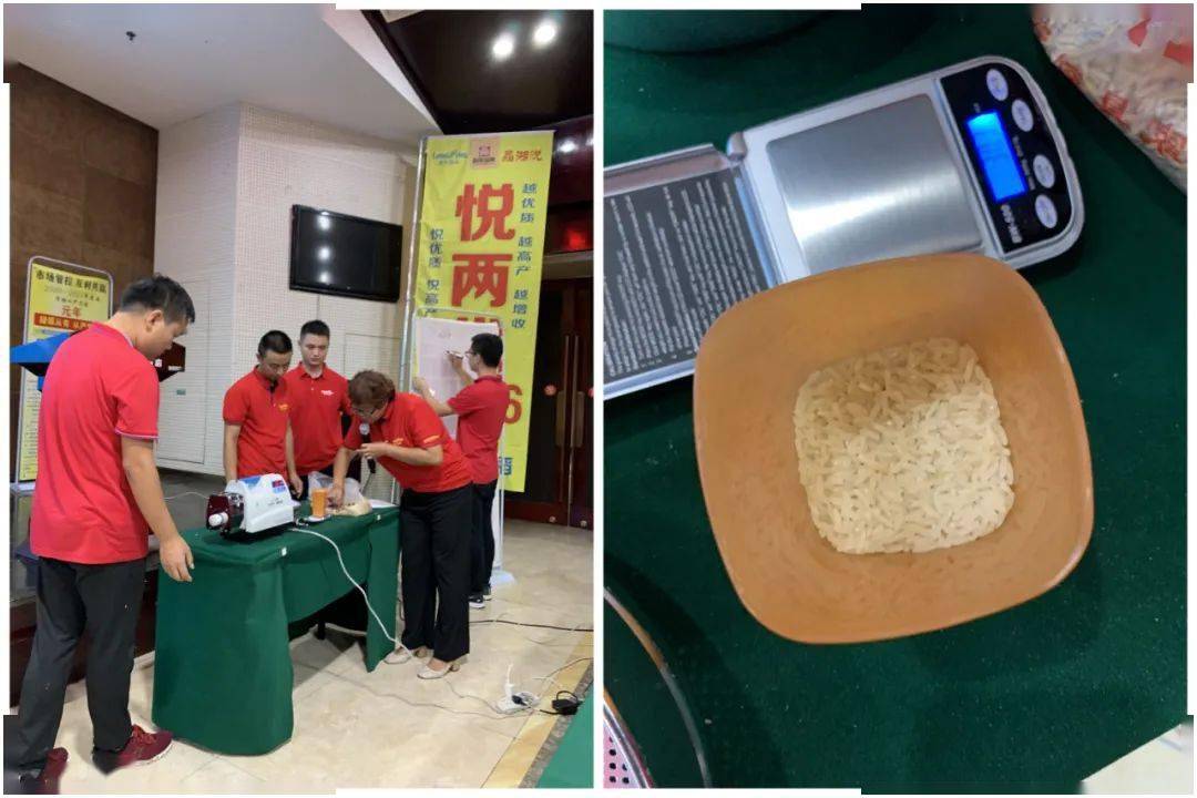 图文百余名经销商晴雨追新悦两优2646河南省级观摩会举行