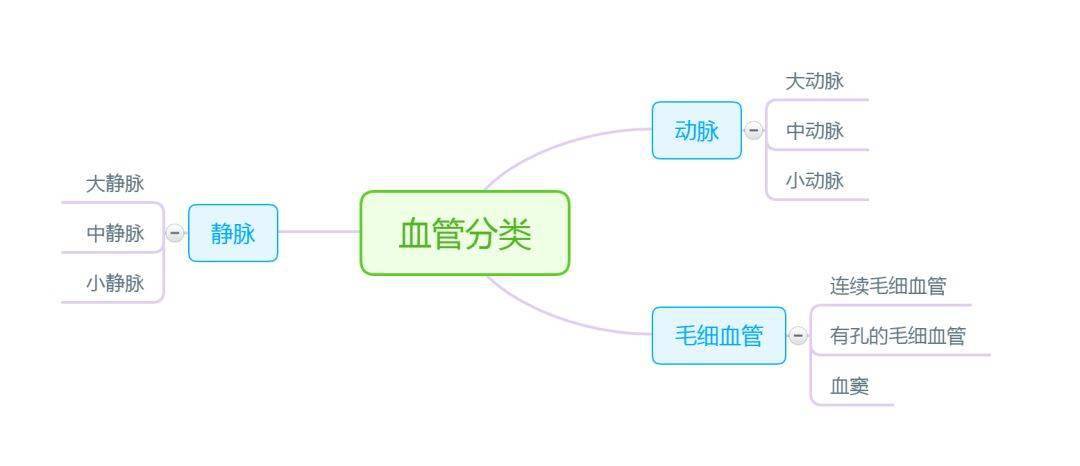 感觉器官内分泌系统神经系统