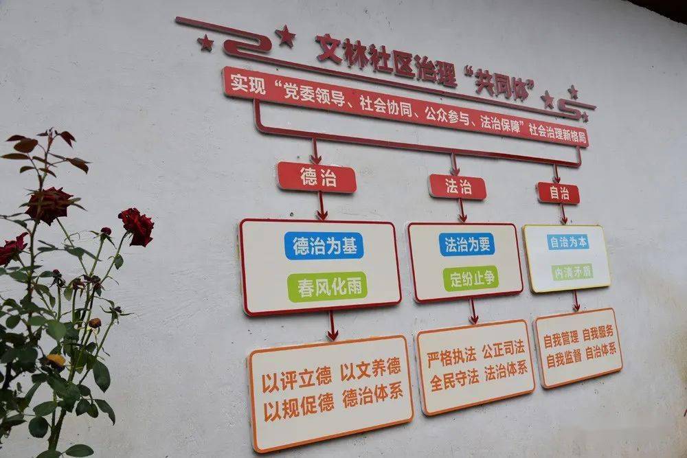 文林村三治融合创建民主法治示范村