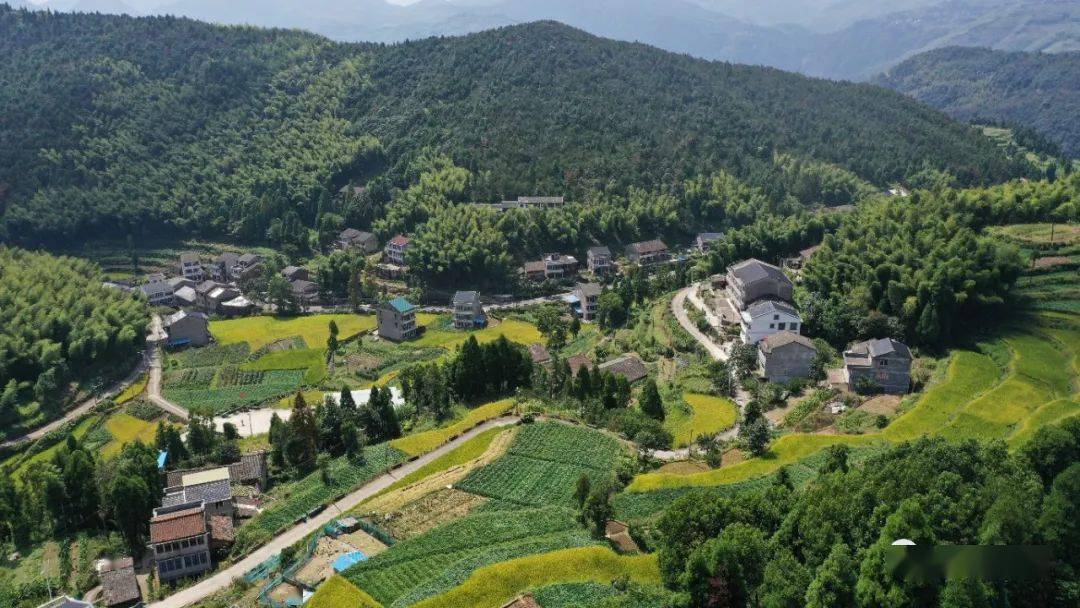 美丽城镇美丽泽雅乡村记录片之古耸村