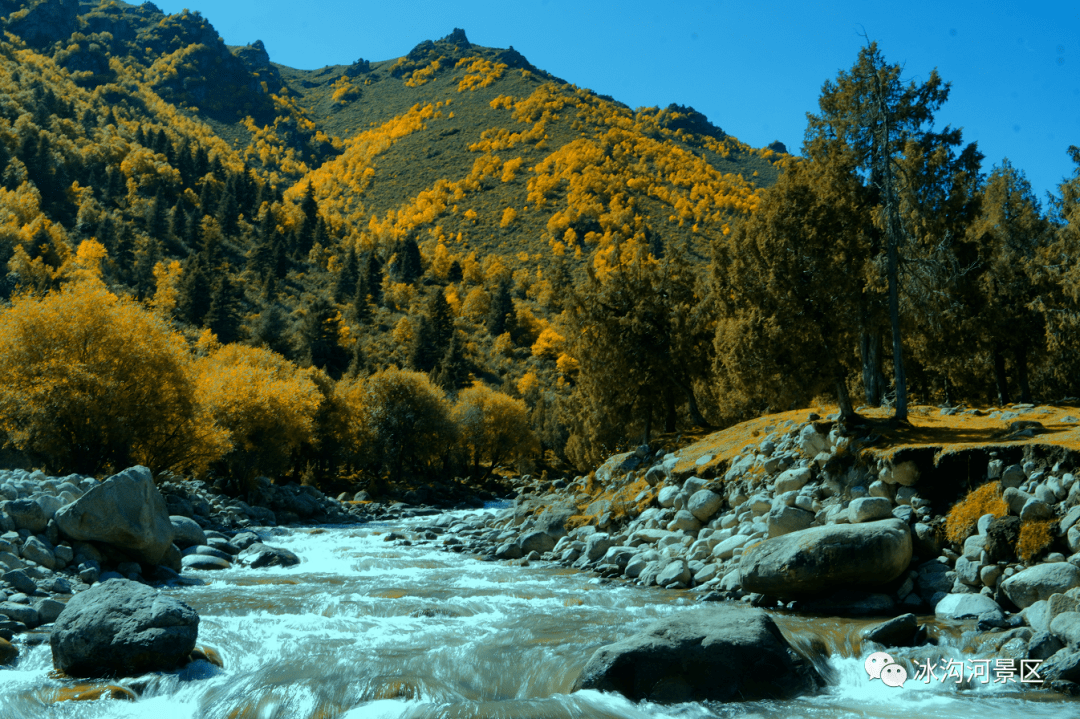 来源|冰沟河景区