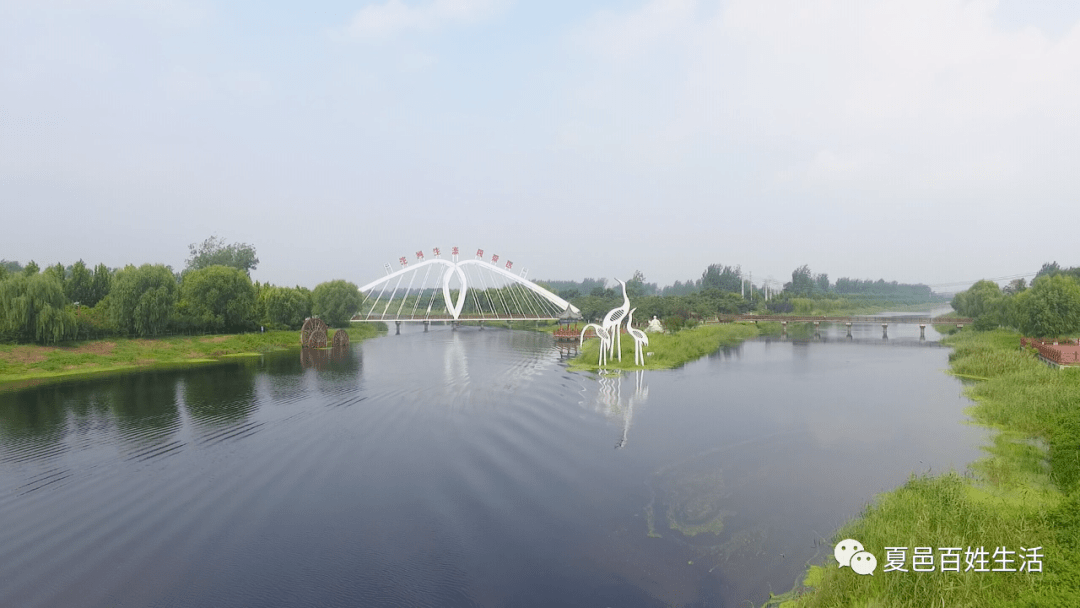 解说:据了解,两河口生态湿地公园是一项生态修复项目,是2017年夏邑县