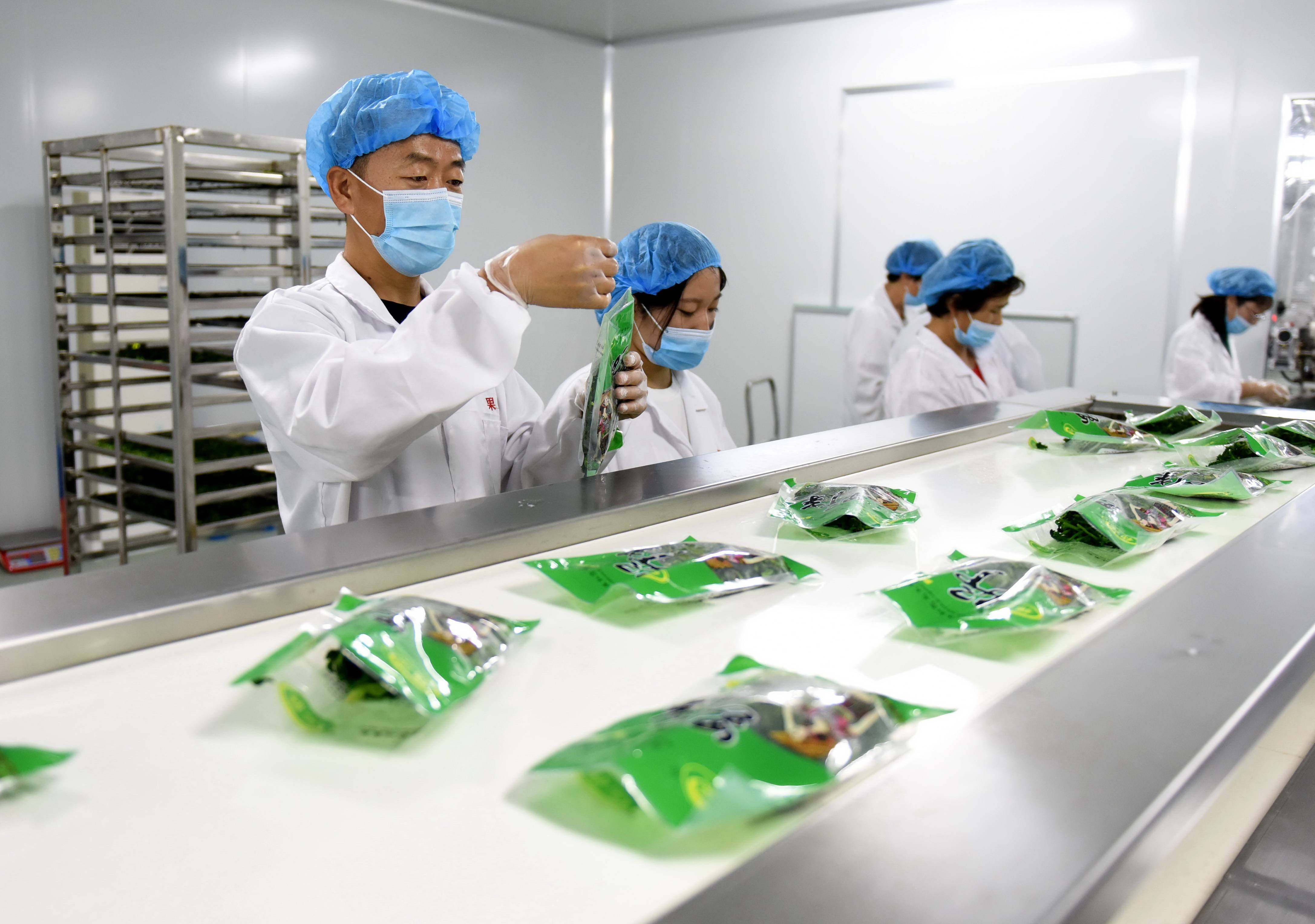 冯延丰返乡创业记——我回村里种野菜