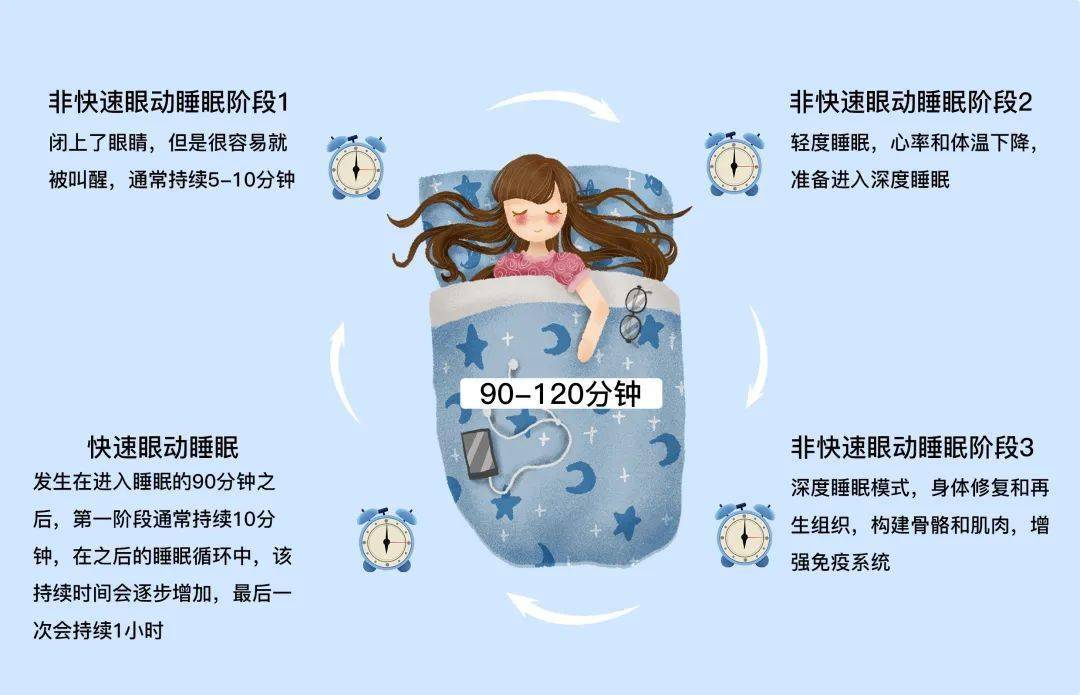 简单跟大家介绍一下睡眠周期,完整的睡眠分为非快速眼动睡眠期(nrem)