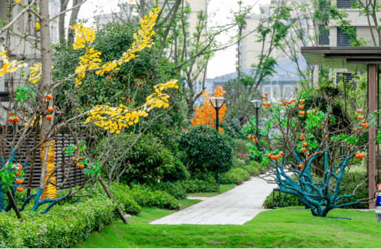 巢湖竟有这么美的实景园林,你知道藏在哪儿吗?