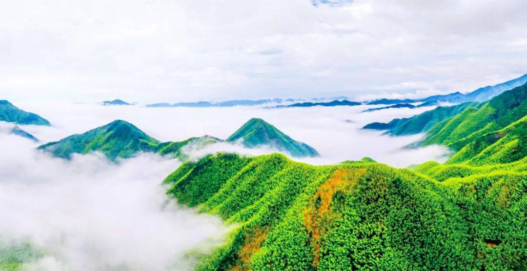 衢州绿春湖风景图片
