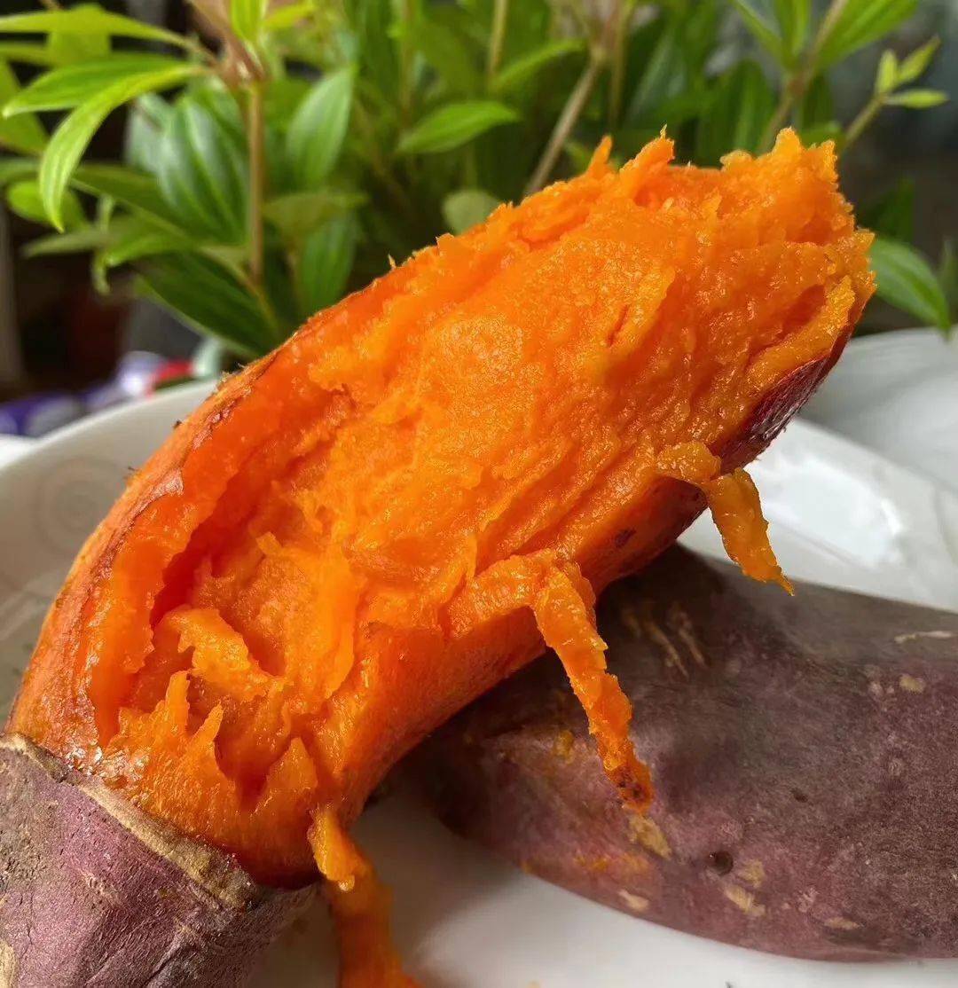 福建六鳌红薯超软糯无丝筋一口甜入心