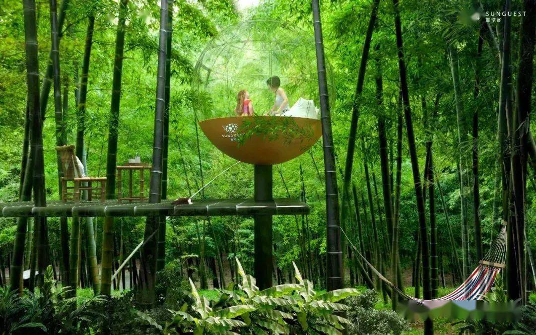 国家重点扶持的森林康养项目应如何规划