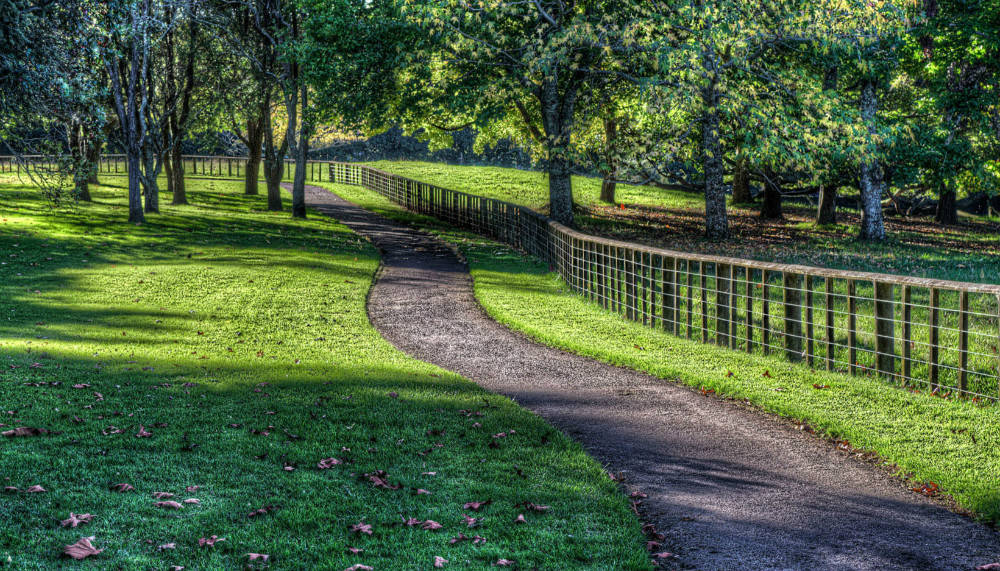 内因造句和解释 内因的例句有哪些 小孩子点读 外因