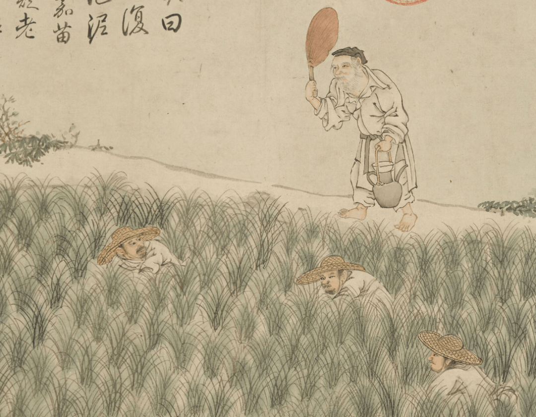 一粒米怎样才能走上我们的餐桌