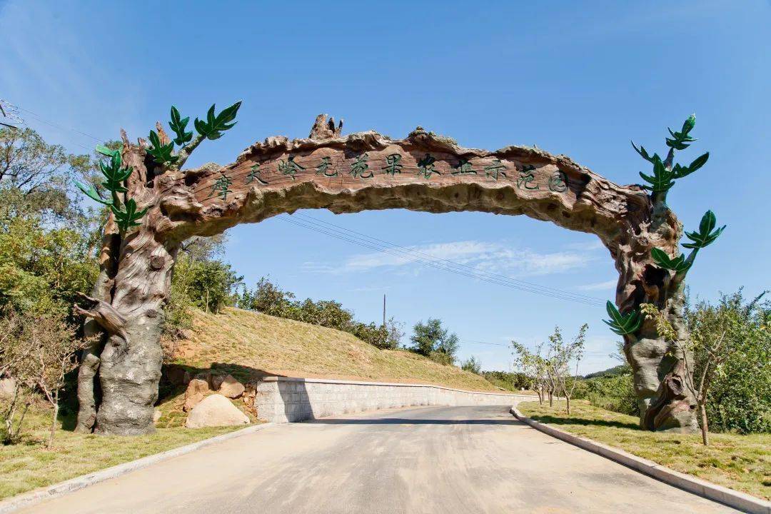 威海晚报传媒,山东广播电视台农科频道协办的威海崮山无花果文化旅游