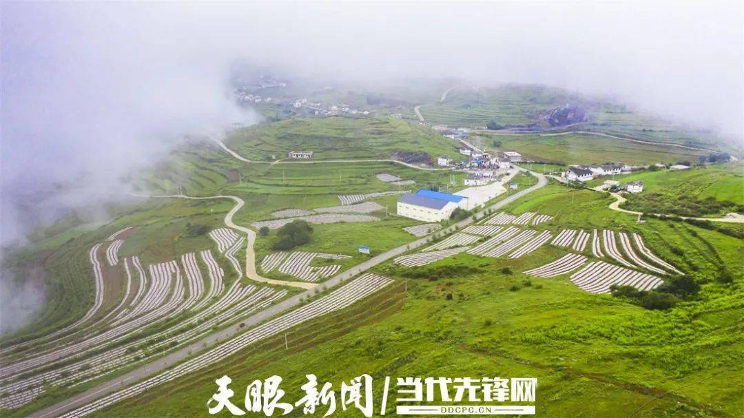 看贵州纳威赫大变化