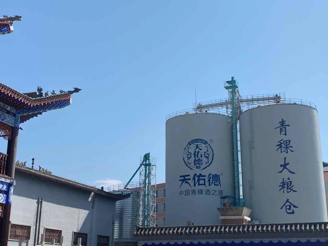 青稞酒文化节天佑德青稞酒按下启动键这个秋日与你同醉