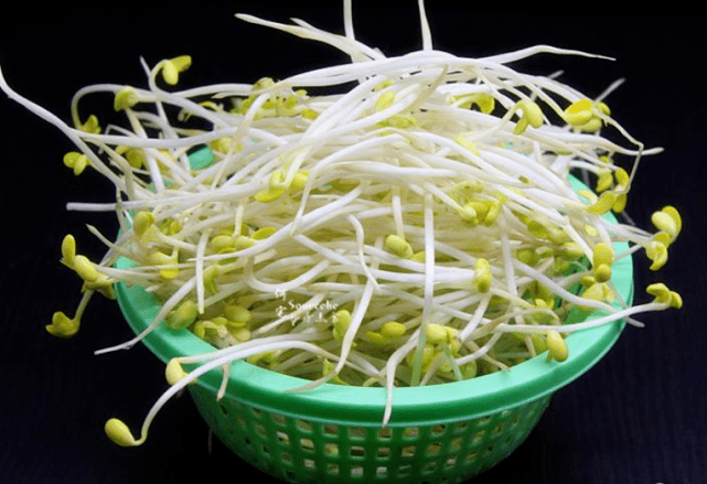买豆芽时,挑有黄豆芽还是绿豆芽?两者区别很大,别再挑错了