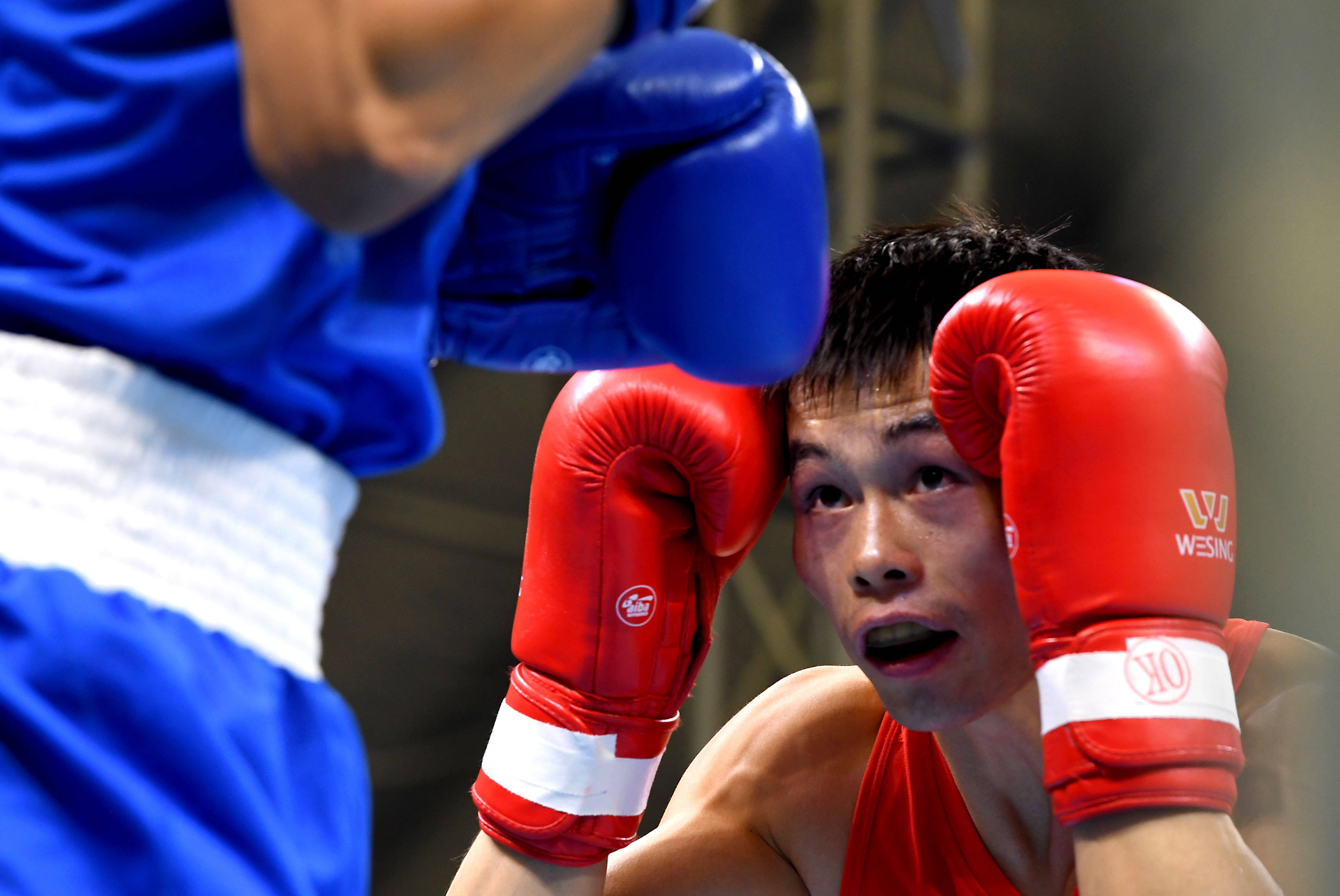 拳击全国男子拳击锦标赛第三日赛况