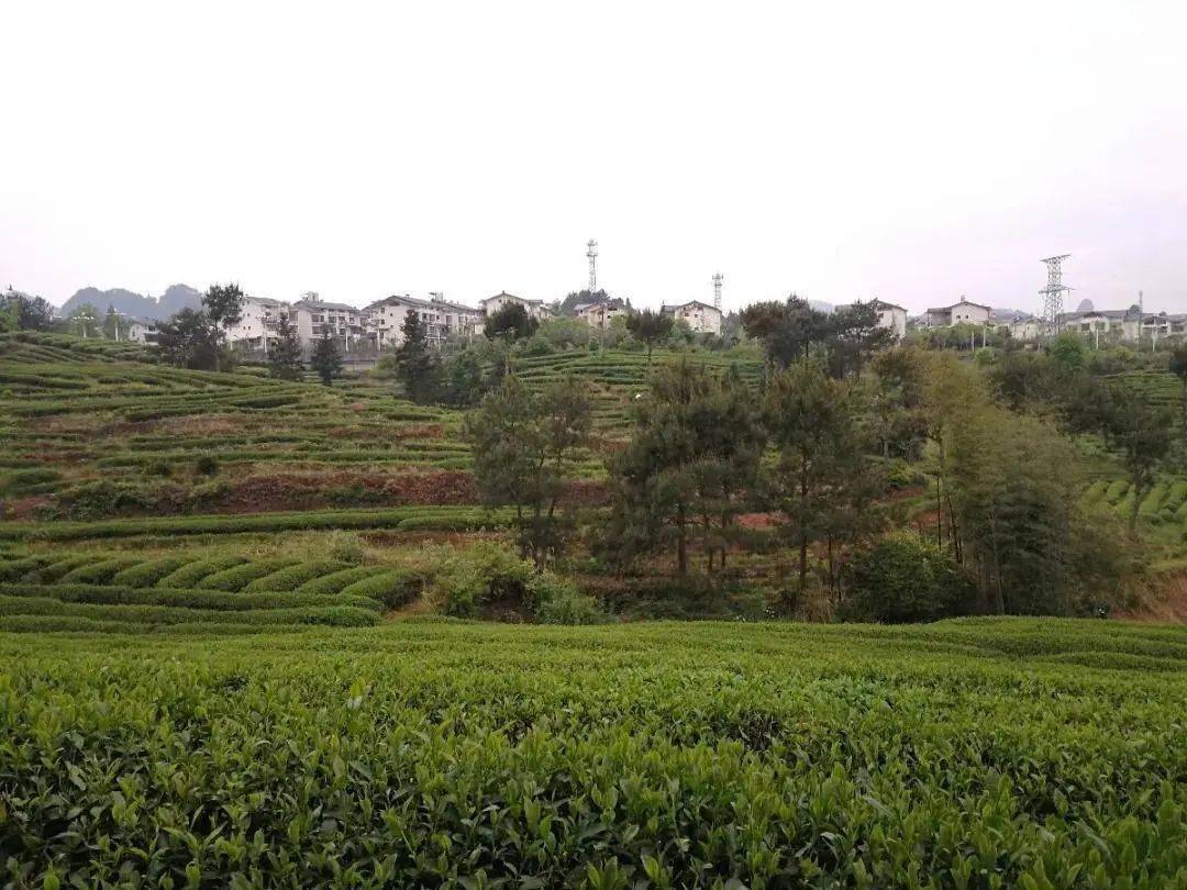 点赞南平再添1个国家级美丽休闲乡村