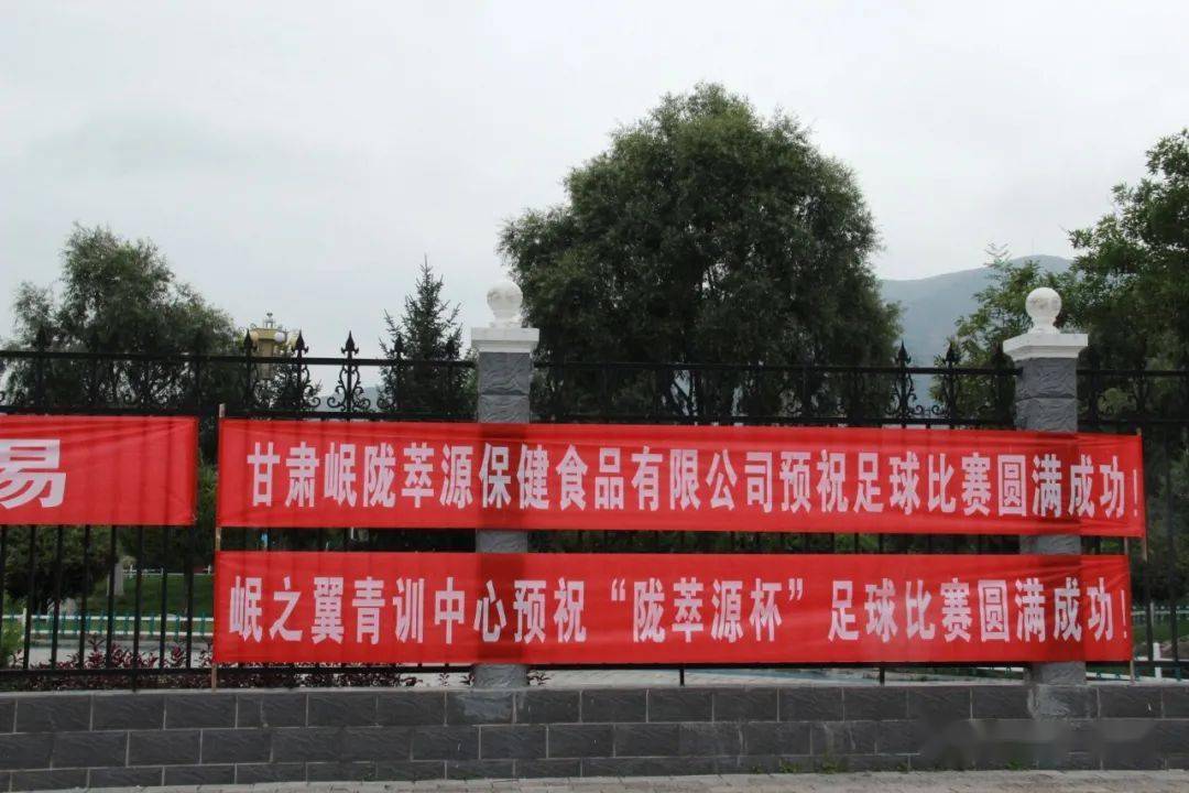 看球赛2020年迎国庆全县全民健身系列活动陇萃源杯足球比赛开幕