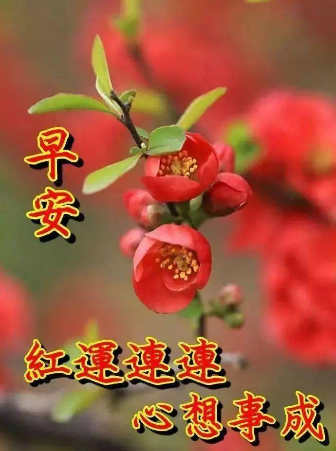 早上好一生牵挂一世朋友