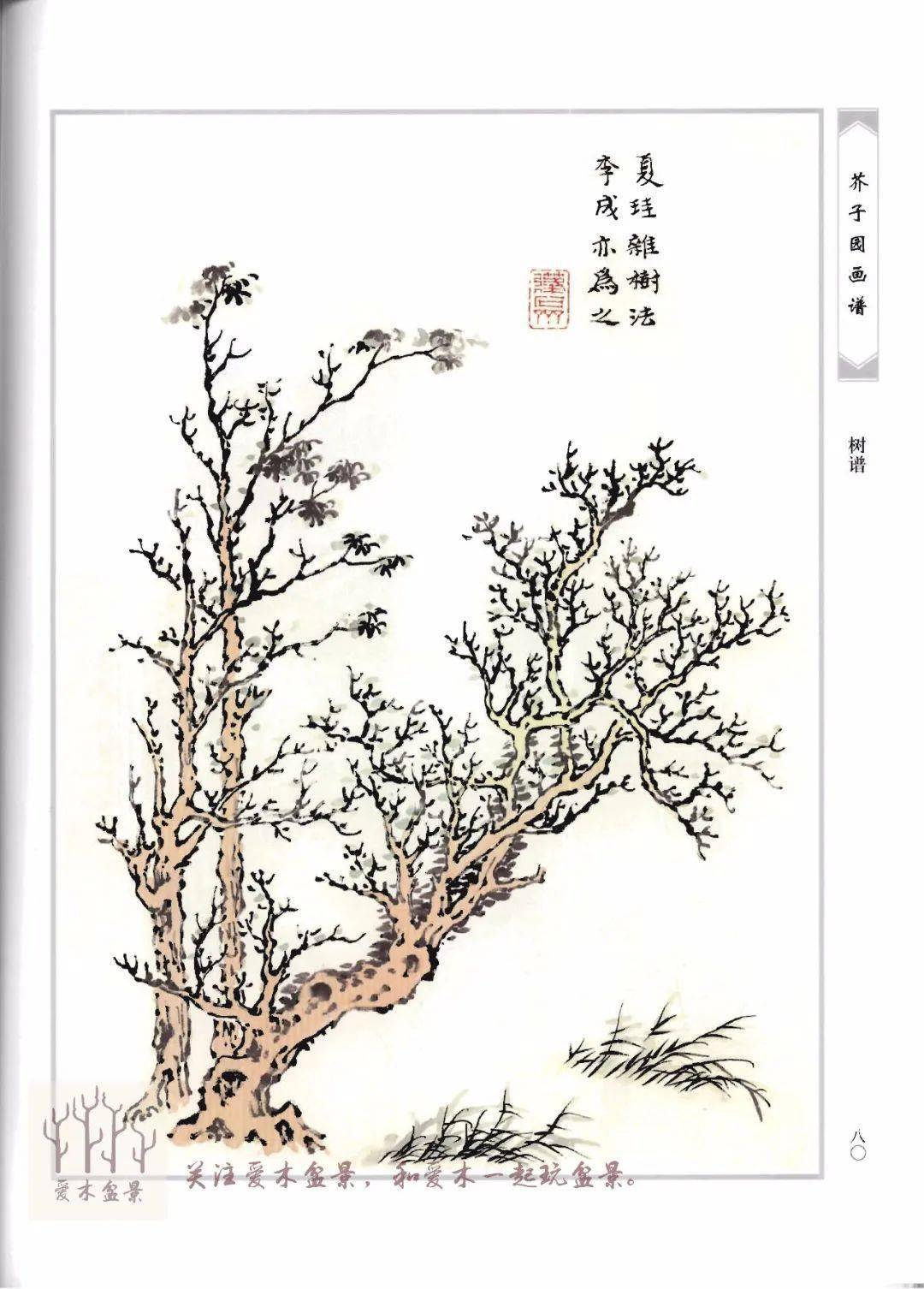 爱木盆景i《芥子园画谱-树谱》分享9,盆景造型值得参考的范例